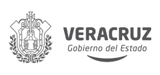 Gobierno de Veracruz